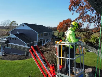 Install & Repair-General Tree Service